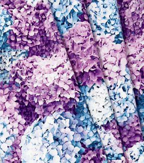 Fabric Traditions Pink Blue Hydrangeas Premium Cotton Fabric - Image 3