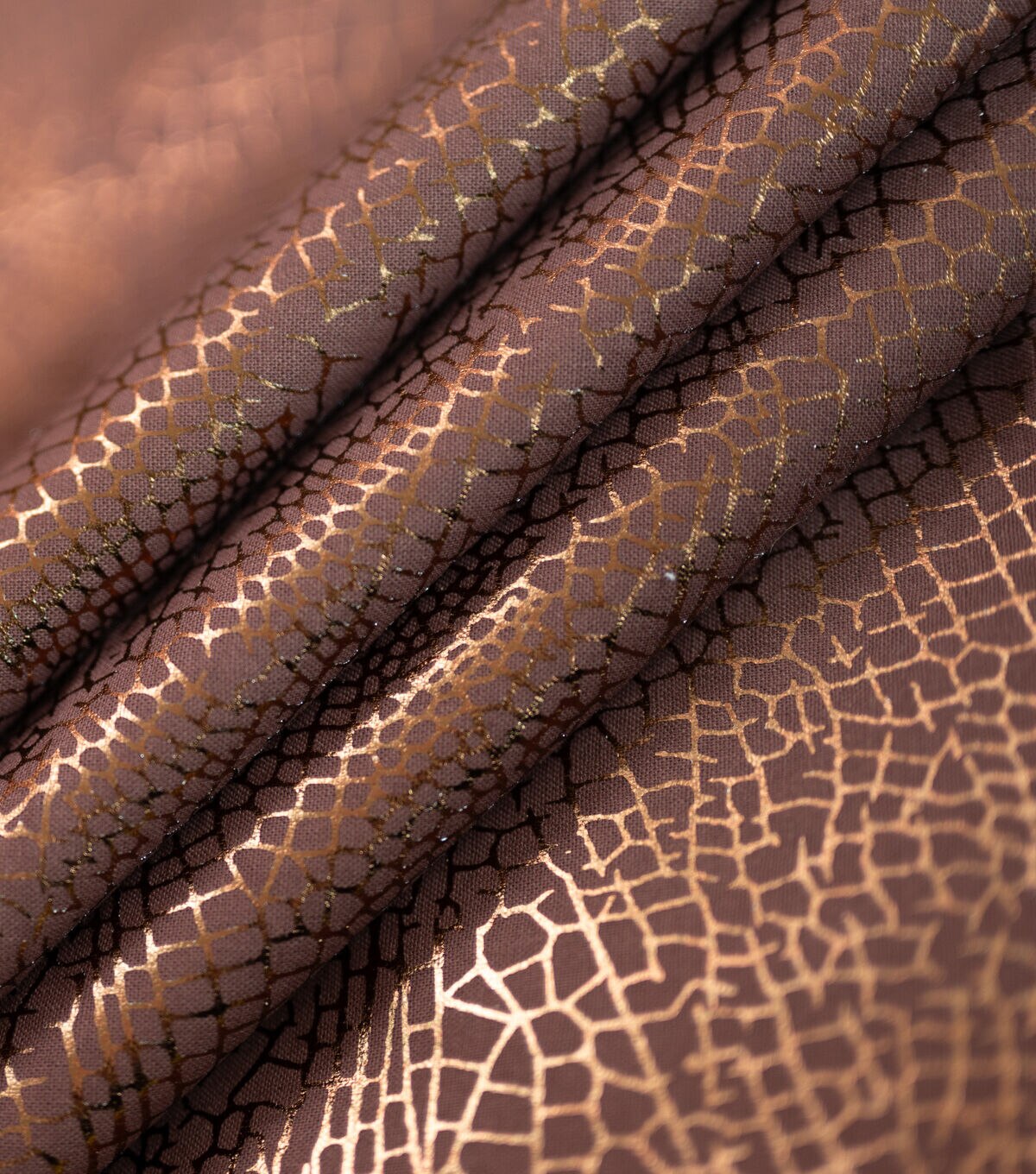 Dragonfly Wing Brown Quilt Foil Cotton Fabric by Keepsake Calico - Image 3