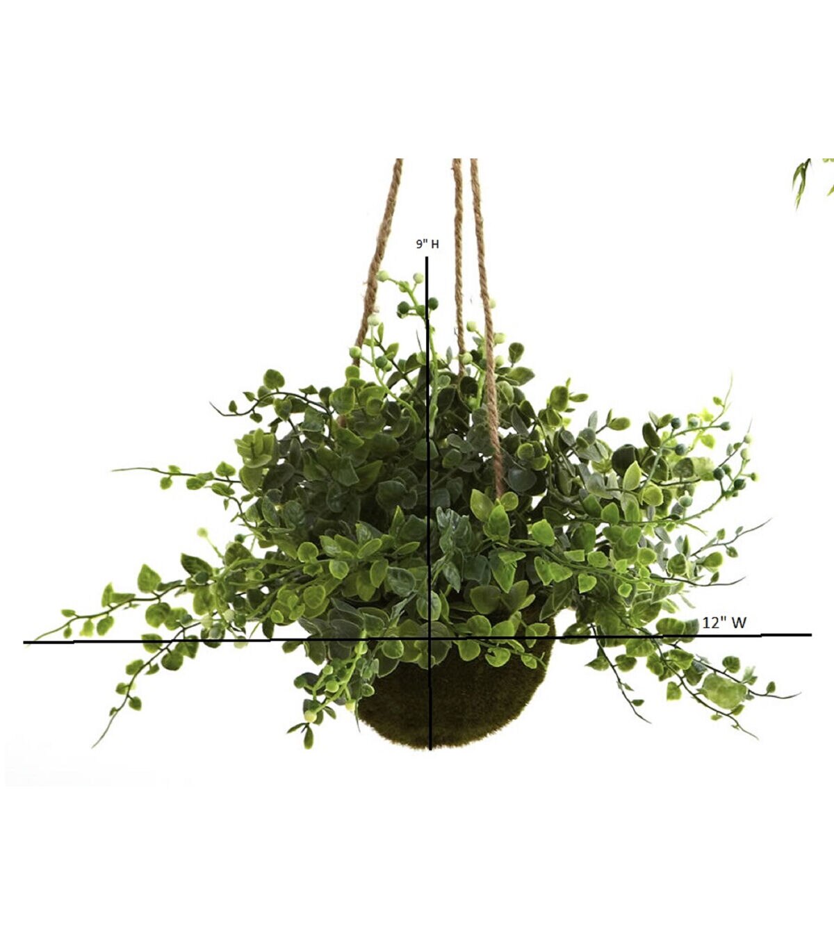 Nearly Natural Eucalyptus, Maiden Hair Berry Hanging Basket - Image 2