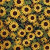 Sunflowers in Bloom Quilt Cotton Fabric by Keepsake Calico
