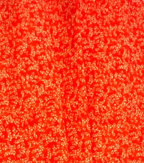 Fabric Traditions Dot Branches Cotton Fabric by Keepsake Calico - Image 10