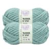 Lion Brand Jumbo Wool Ease WOW 66yds Jumbo Acrylic Yarn 2 Bundle